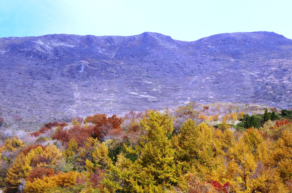 伊吹山 紅葉