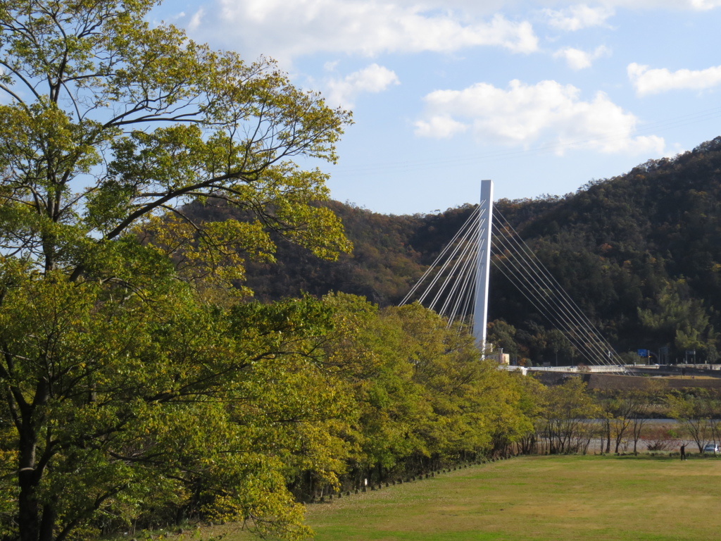 鵜飼い大橋