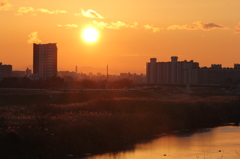 河川敷の朝