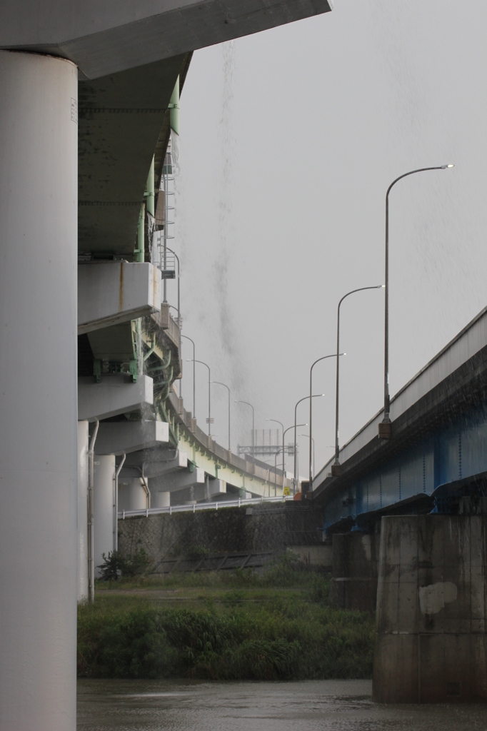 雨宿り