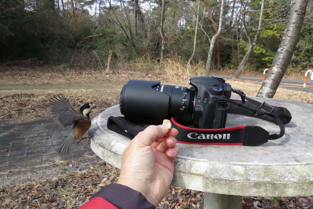 カメラ目線　間違ってるよ