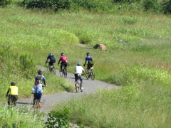 サイクリング