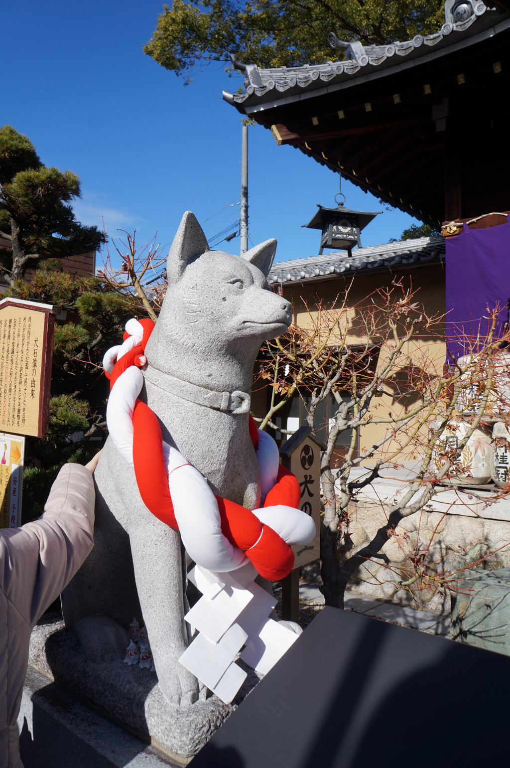あけましておめでとうございます