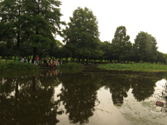雨上がりの池
