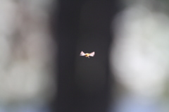 UFOの後姿