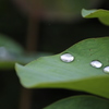 雨上がり