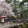 雨の兼六園