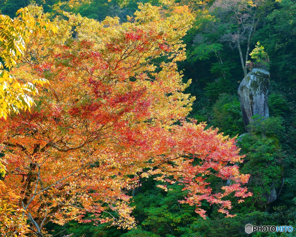 はんど岩