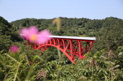 コスモスとループ橋