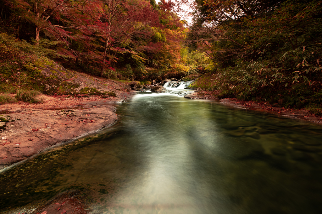 八重滝の紅葉④