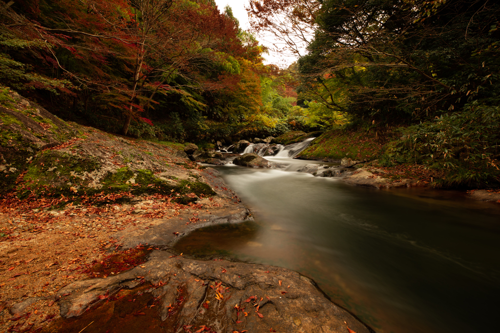 八重滝の紅葉②