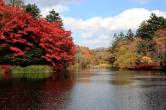 雲場池の紅葉１