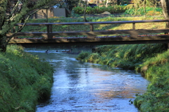 忍野八海　川