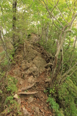 赤城山５－鍬柄山と鈴ヶ岳の間の登山道の一部