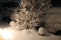 記録的大雪１