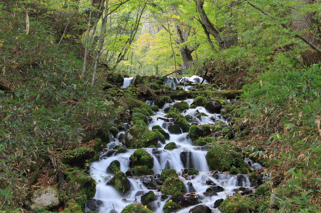 尾瀬　大清水付近の滝