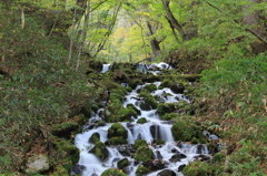 尾瀬　大清水付近の滝