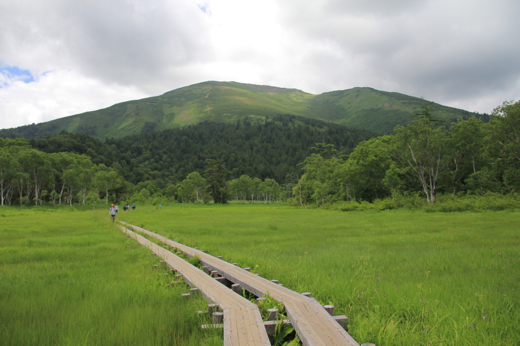 尾瀬が原　至仏山と木道