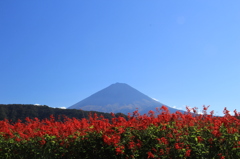 西湖からの富士山１