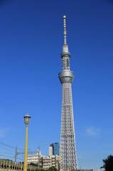 東京スカイツリー～親子？？？