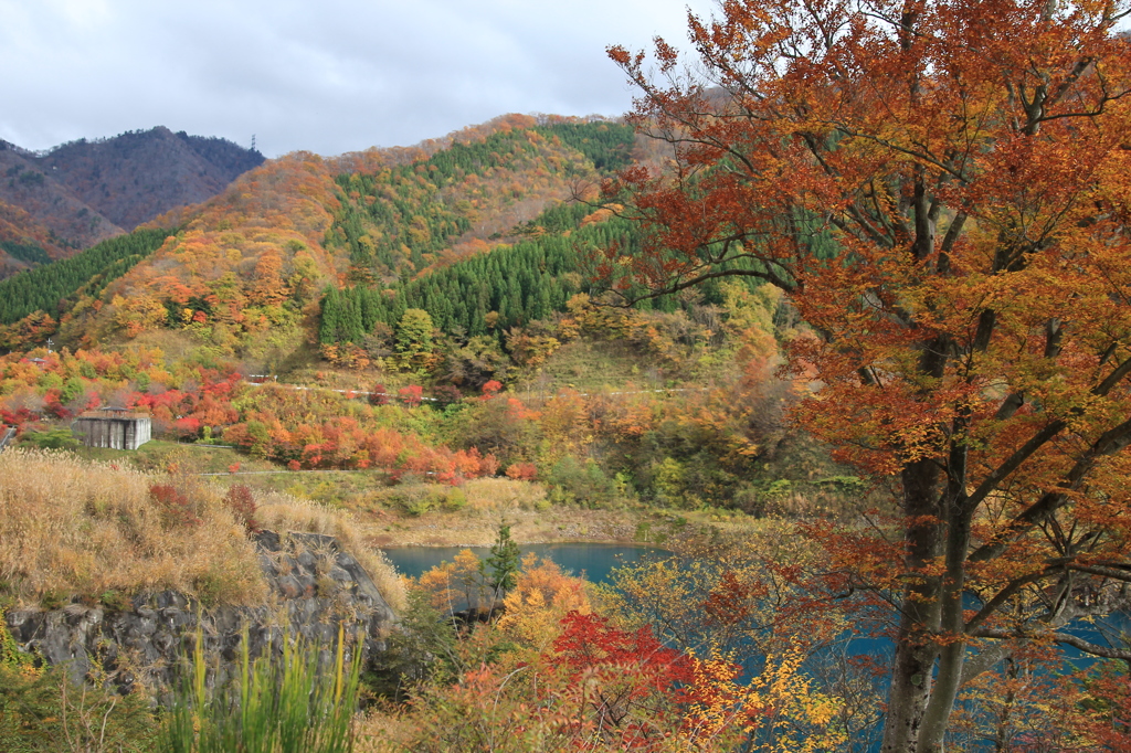 奥四万湖付近の紅葉