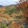 奥四万湖付近の紅葉