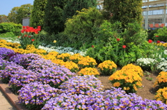 深谷駅前の花壇