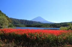 西湖からの富士山２