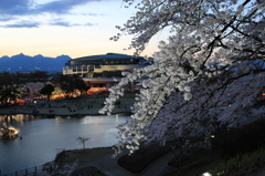 グリーンドーム前橋と桜