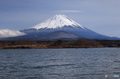 精進湖からの富士山