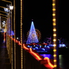波志江沼イルミネーション３