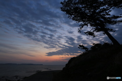 日間賀島の朝