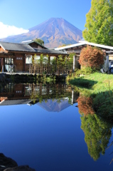 忍野八海　鏡池