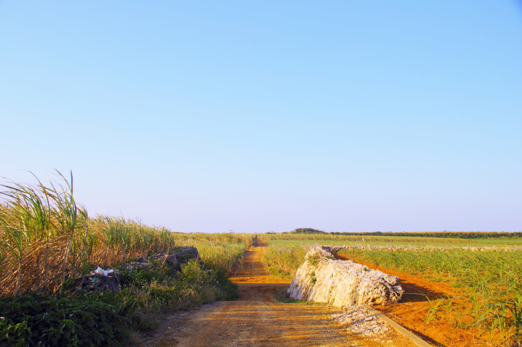 IRABU　ROAD