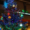 HOLY　NIGHT