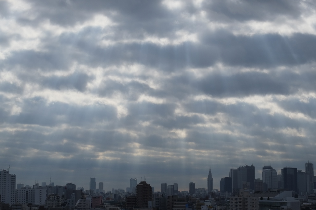 光の雨