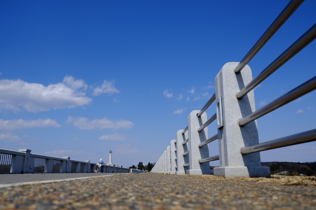 お散歩日和