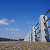 お散歩日和
