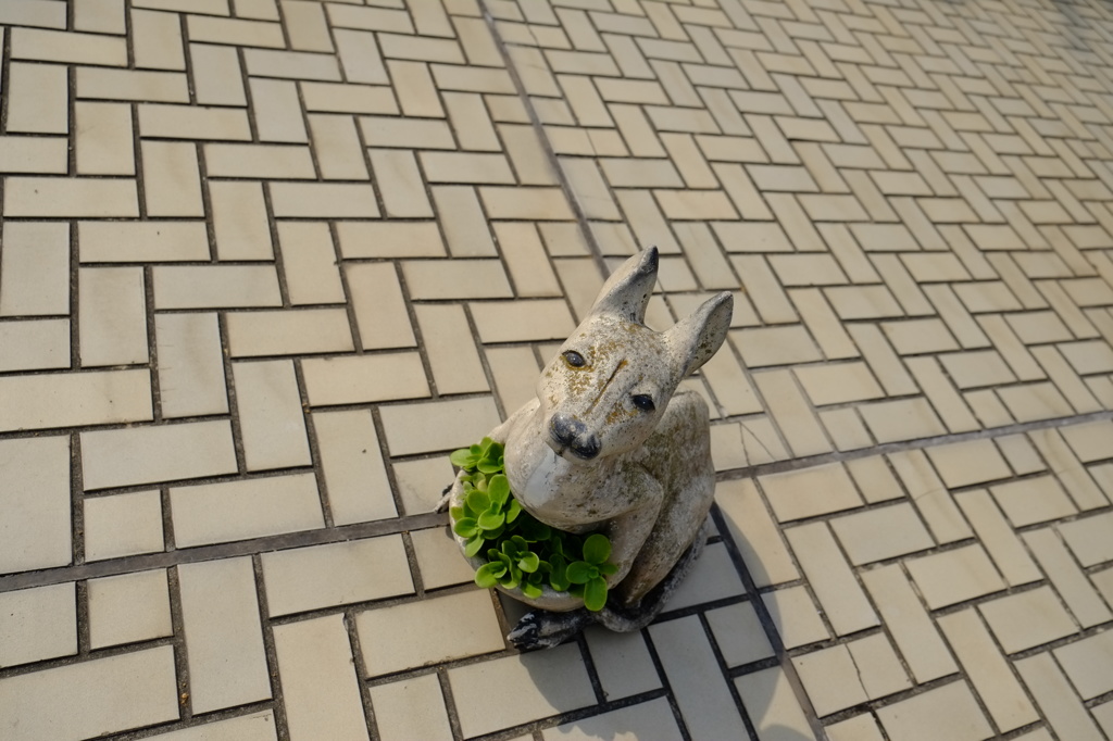ぼっち
