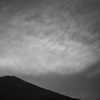 IMG_5790