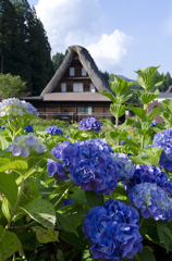 夏が、来る