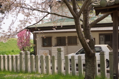 神社のお向かいさん