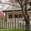 神社のお向かいさん