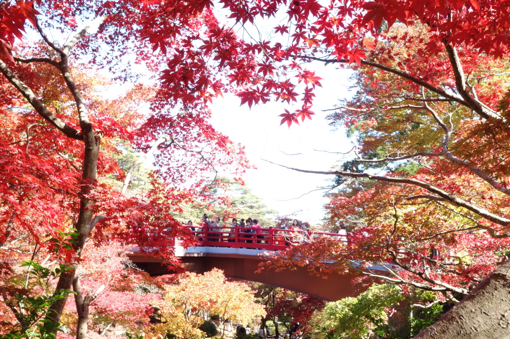 紅葉