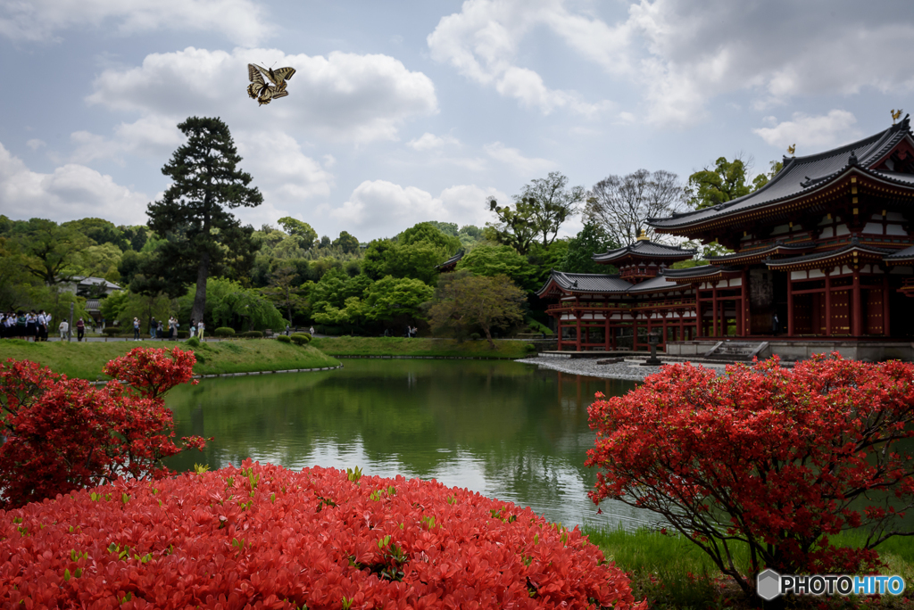 春の平等院 鳳凰堂