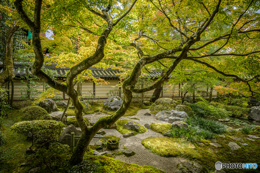 永観堂　釈迦堂