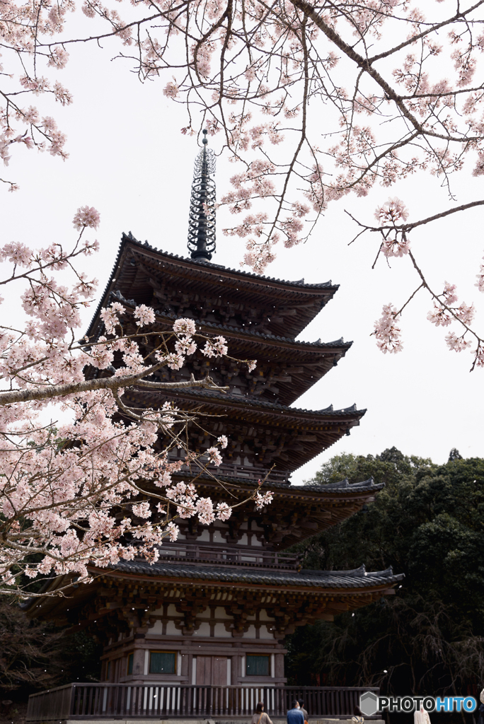 醍醐寺　五重塔