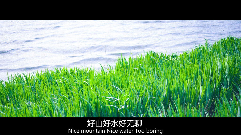 好山好水好无聊