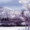 IR-KIRIN