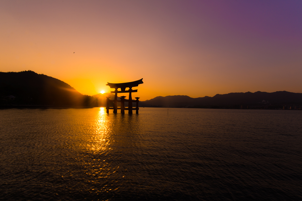 厳島　鳥居